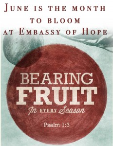 Bearing Fruit Church Bulletin Cover.eps